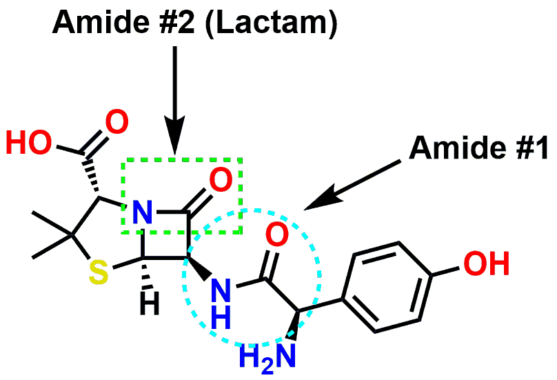 Figure 7: Amide / Lactam groups contained in the antibiotic Amoxicillin.