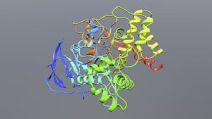 A 3D model of acetylcholinesterase bound to Acetylcholine as a tetrahedral intermediate during the hydrolysis of the neurotransmitter