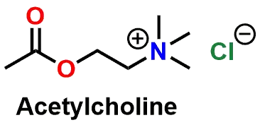Figure 10 - Acetylcholine
